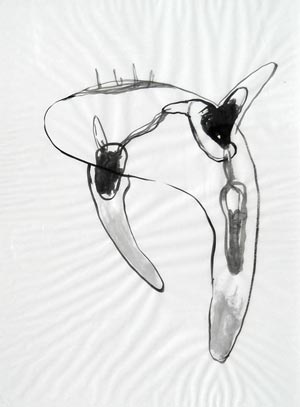 Christoph Radke, Zeichnungen 2012 06